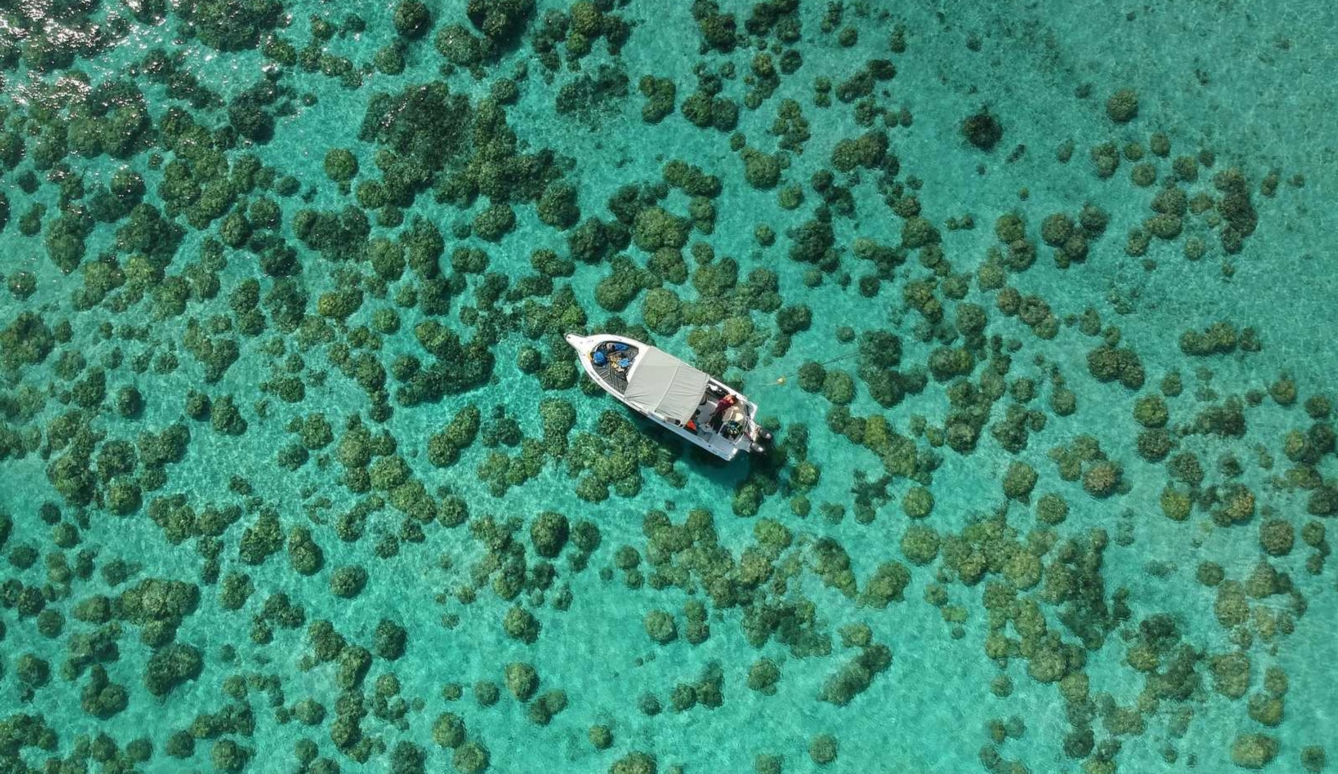 Mauritius